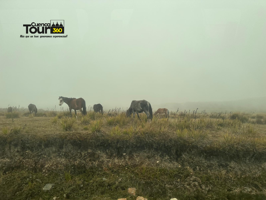 Diseño sin título (25).png