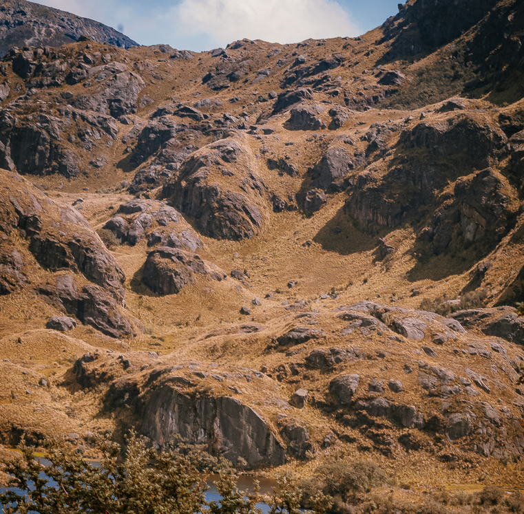 Tour Cajas Full Day 360
