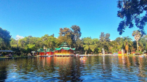 Tour Cisne + Loja Full Day 360